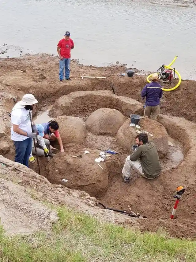 Argentina: Huge Armadillo Fossil Found by Farmer