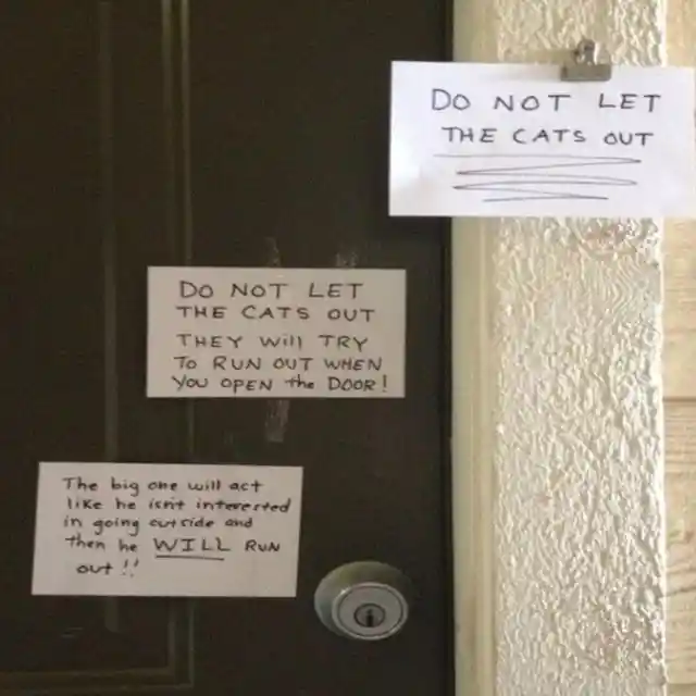 Hilarious Pictures of Things People Caught Their Neighbors Doing