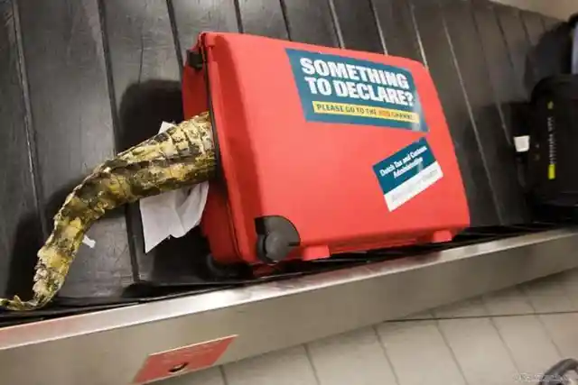 Fun Moments At Airports 