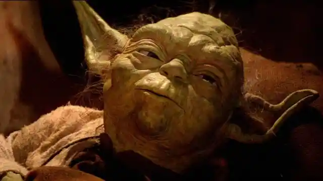 Oh nein! Yoda ist von uns gegangen... Wie alt war er?