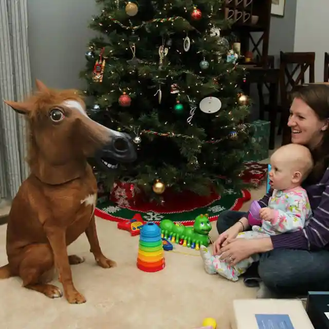 Family Christmas Photos That Are Absolutely Hilarious