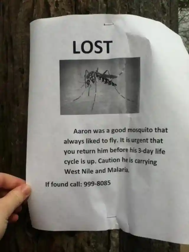 We’re Glad To Know No One Lost Their Sense Of Humor Over These Lost Or Found Posters