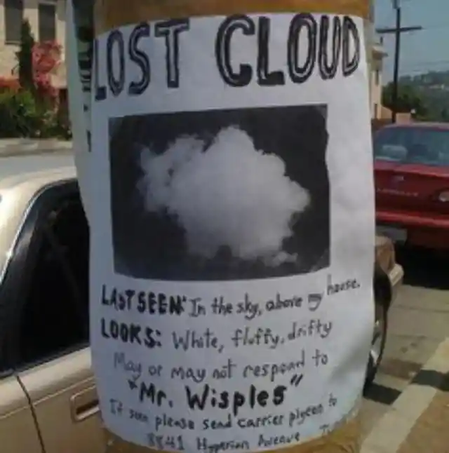 We’re Glad To Know No One Lost Their Sense Of Humor Over These Lost Or Found Posters