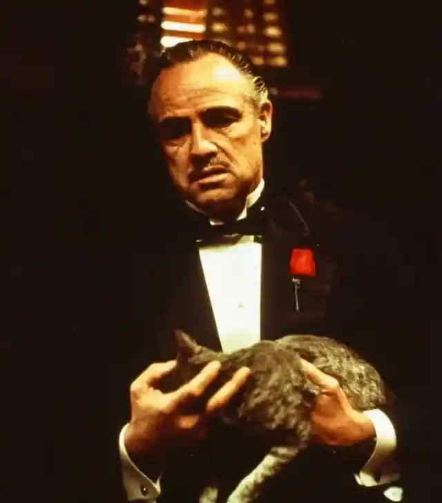 Here Are 6 Facts About The Godfather That Hardly Anybody Knows