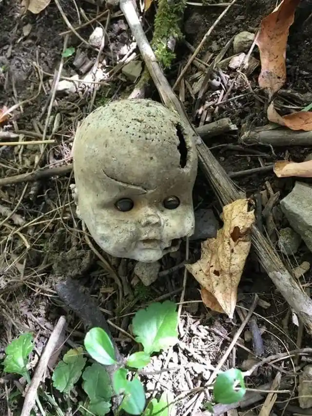 40 Bizarre Objects Found Lurking Deep in the Wilderness