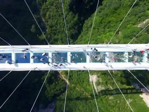 The World’s Most Scary & Amazing Bridges