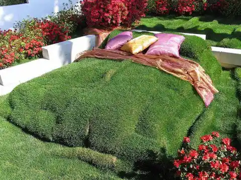 Meadow Bed