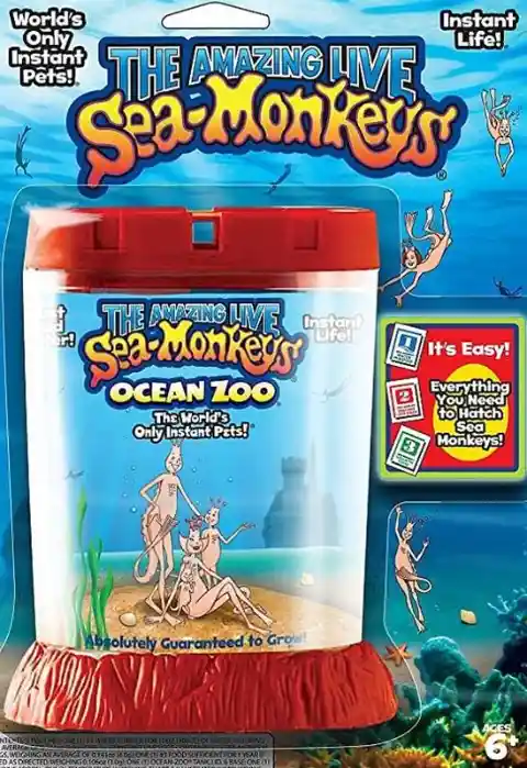 What were instant Sea-Monkeys, really?