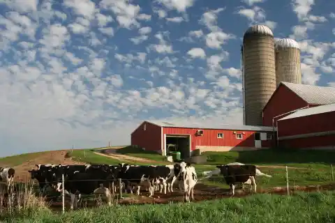 Which U.S. state produces the most dairy, by far?