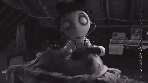 What is the name of this film about a child who was able to make his dead dog come alive?