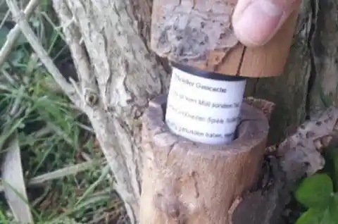 All Bark And No Bite: Former Police Dog Smells Something Off About Tree