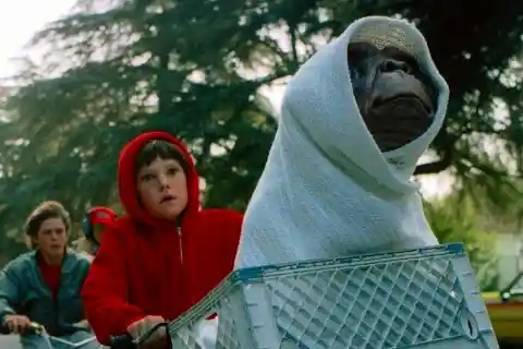 In which movie does a young boy befriend an extraterrestrial?