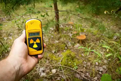 Radiation-Eating Fungi Found in Chernobyl