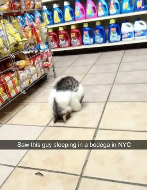 Funny Grocery Store Moments That Took Everyone By Surprise