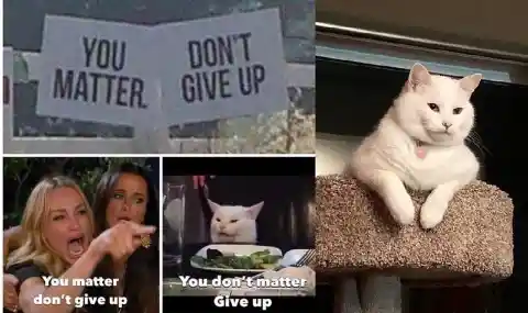 Meme Update: Woman Yelling at a Cat